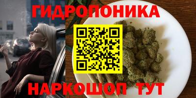 крисы Краснокаменск